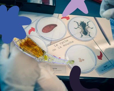 Visite du laboratoire de biologie