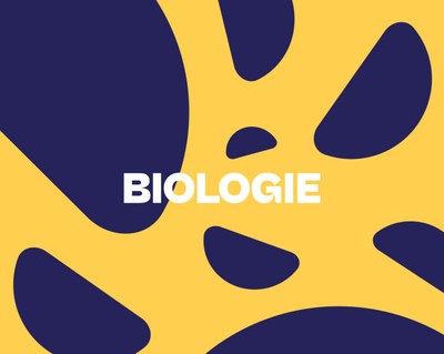 Visite du laboratoire de biologie