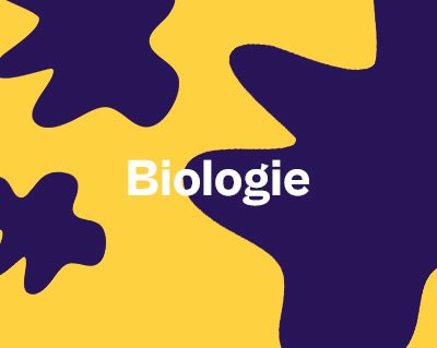 PDS2026_Biologie Visite du laboratoire de biologie